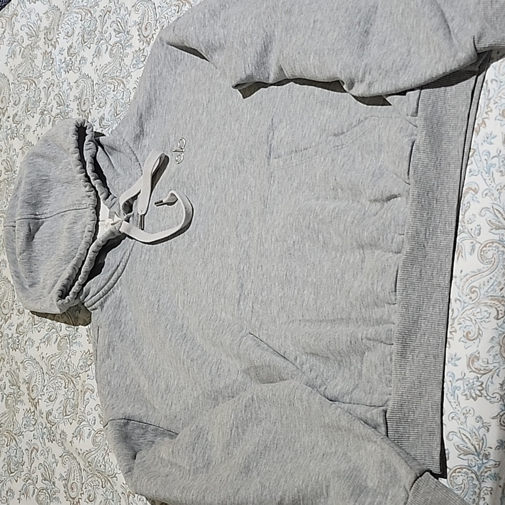 ALO Accolade Hoodie